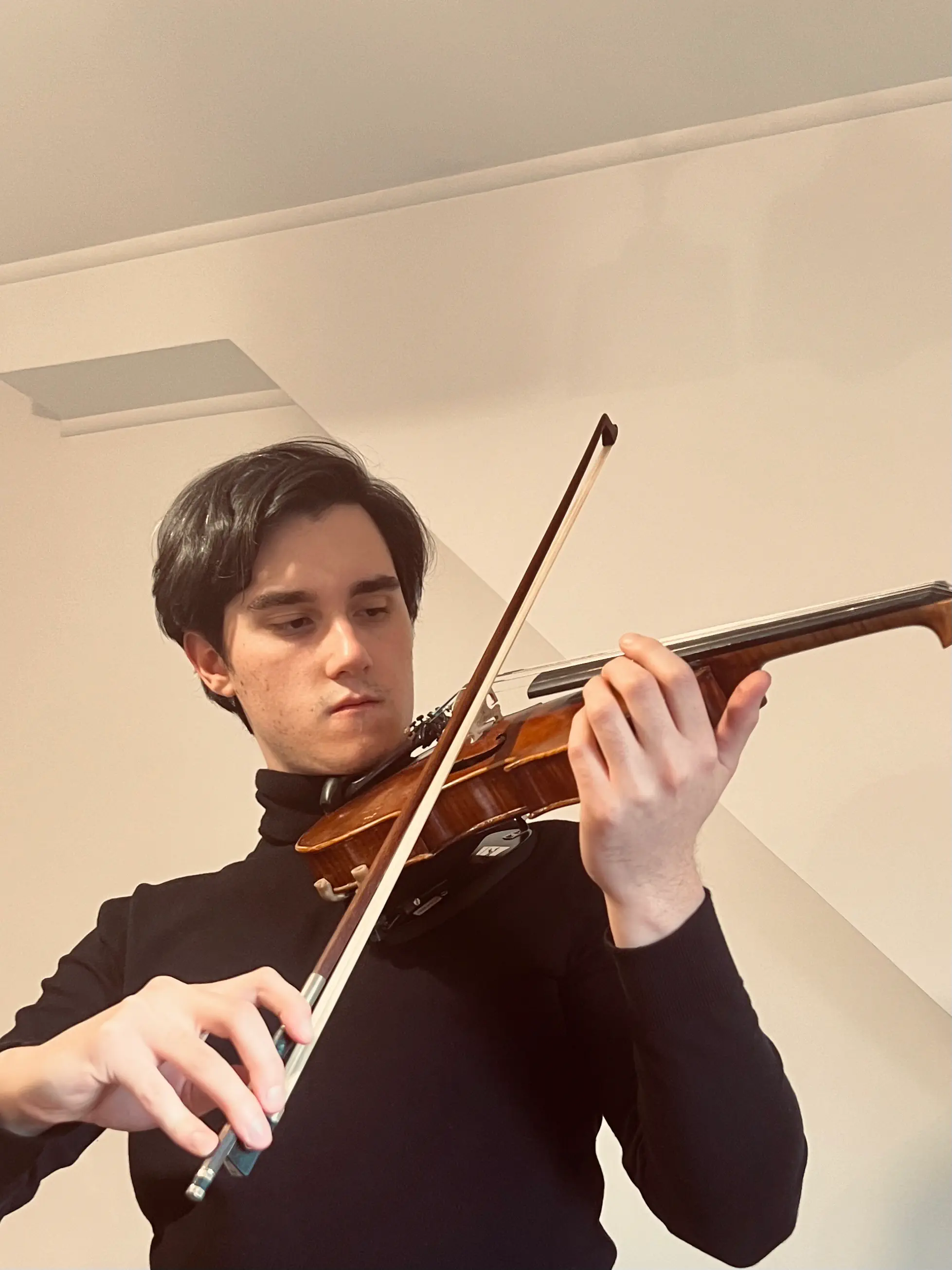 Organy — manuał i prospekt